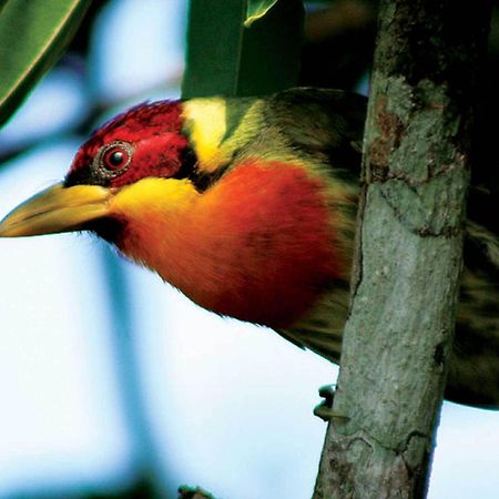 Inkaterra Reserva Amazonica Puerto Maldonado Esterno foto