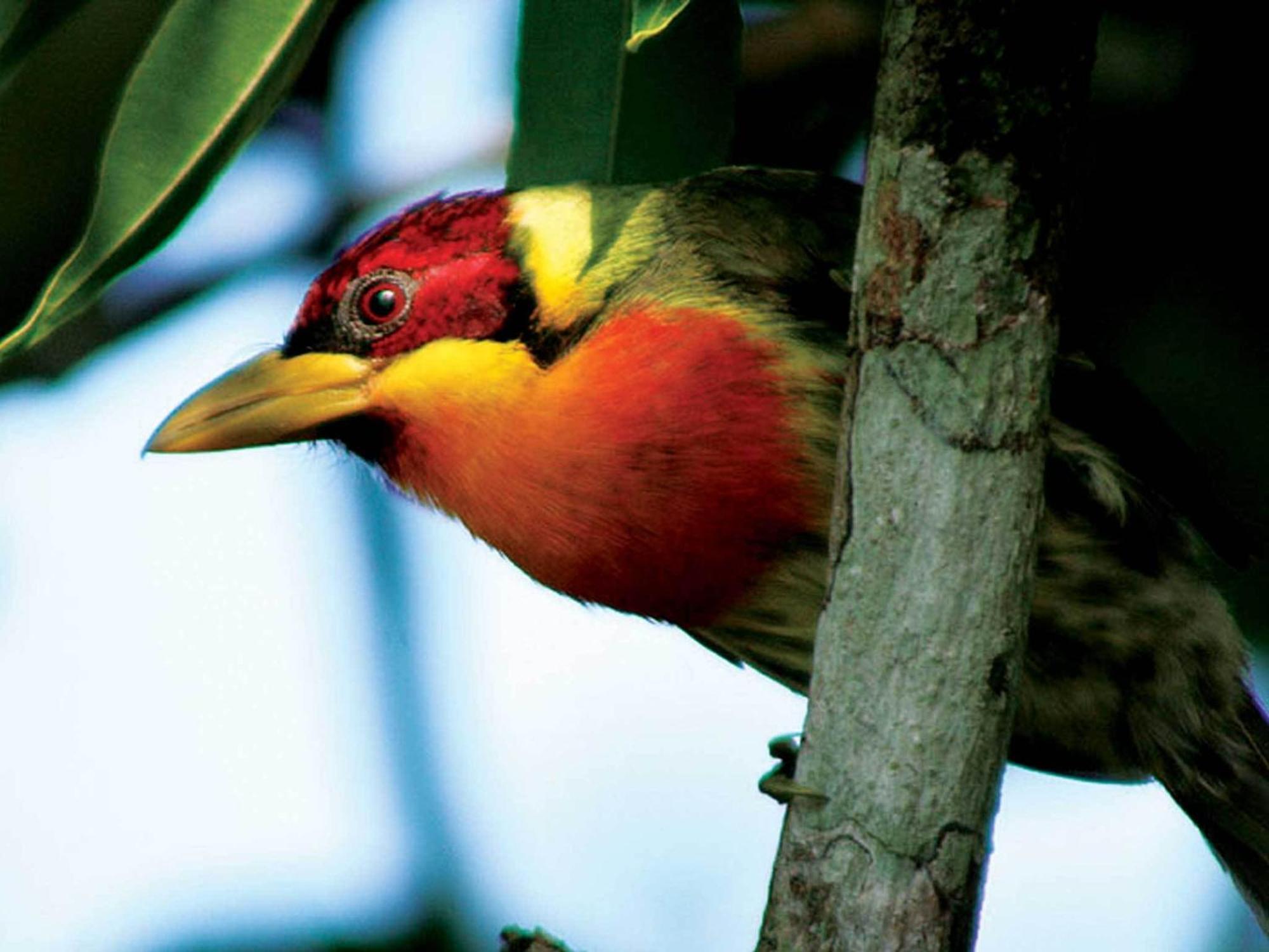 Inkaterra Reserva Amazonica Puerto Maldonado Esterno foto
