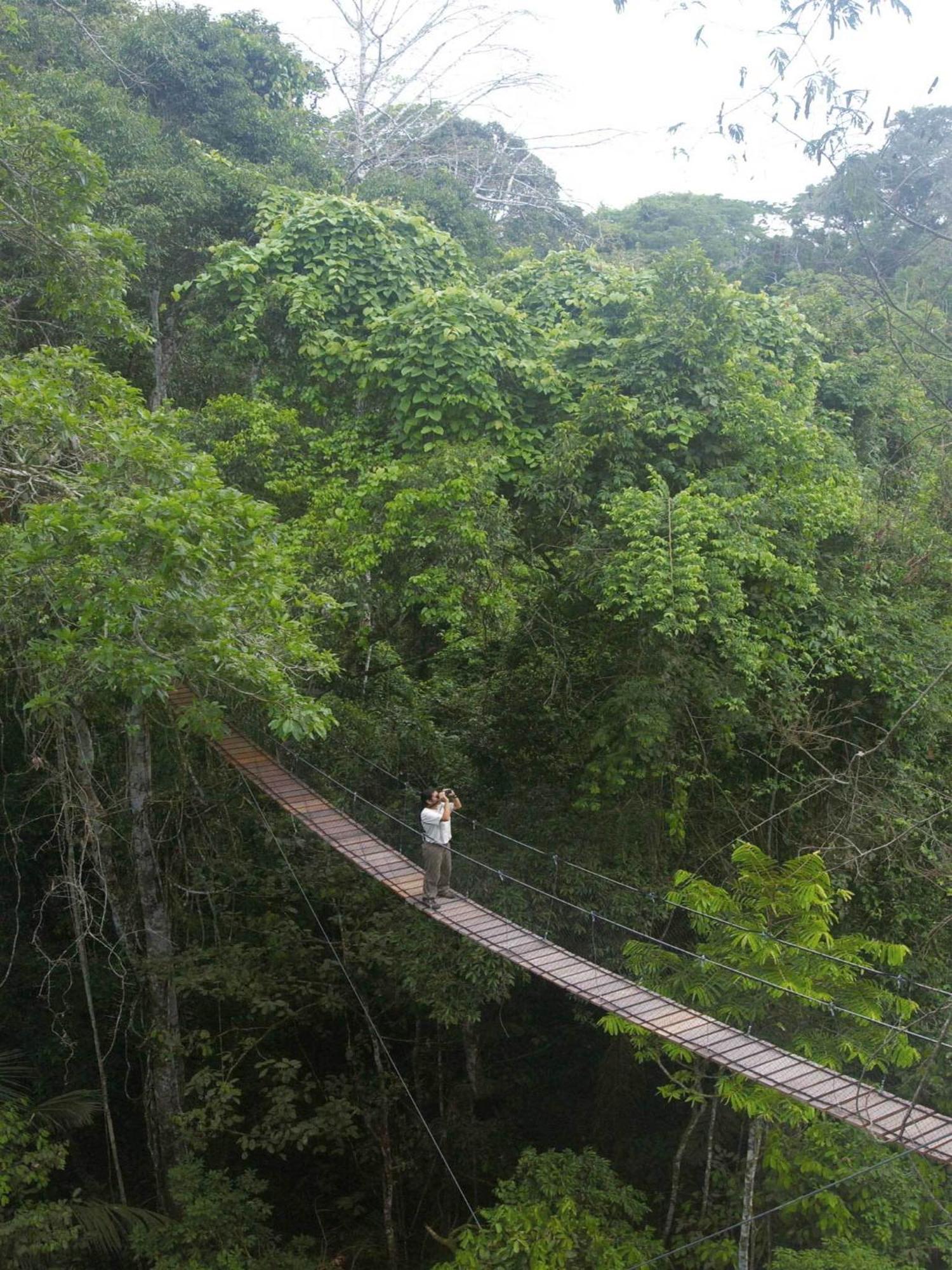 Inkaterra Reserva Amazonica Puerto Maldonado Esterno foto